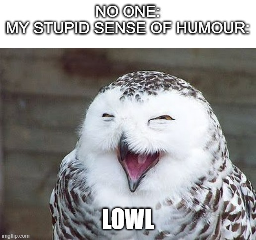 lowl | NO ONE:
MY STUPID SENSE OF HUMOUR:; LOWL | image tagged in owl | made w/ Imgflip meme maker