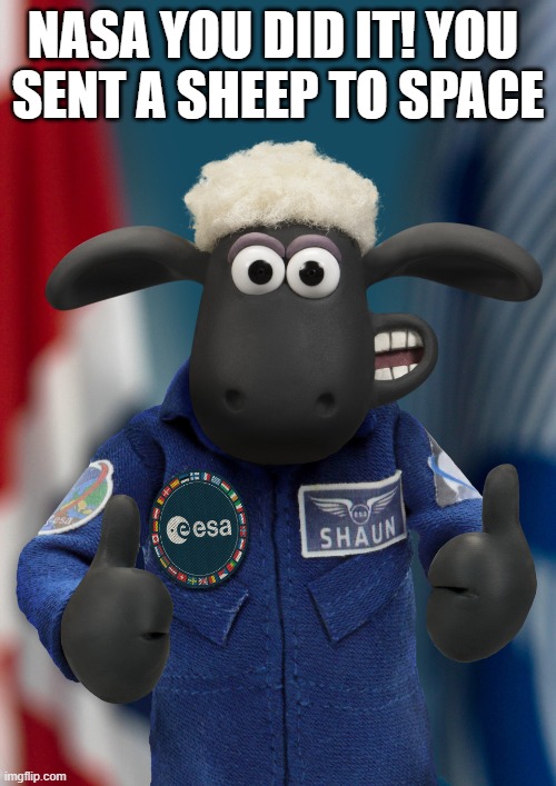 . | NASA YOU DID IT! YOU 
SENT A SHEEP TO SPACE | made w/ Imgflip meme maker