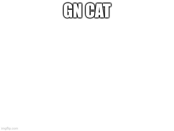 GN CAT | made w/ Imgflip meme maker