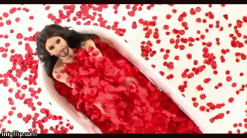 7ymj4.gif