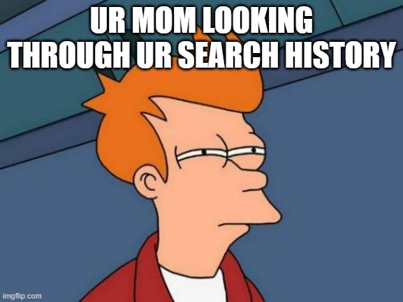 i will find them | UR MOM LOOKING THROUGH UR SEARCH HISTORY | image tagged in memes,futurama fry | made w/ Imgflip meme maker