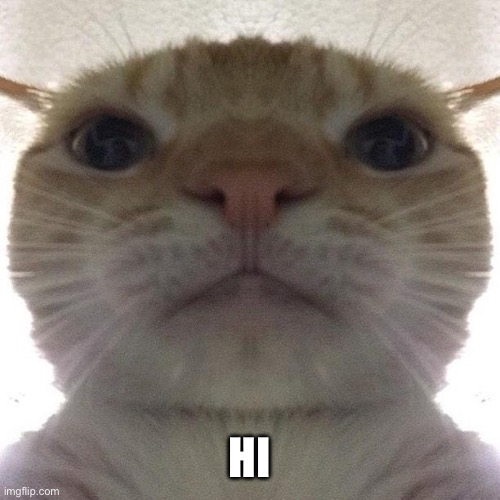 Hi | HI | image tagged in staring cat/gusic,cringe,memes,cats,fun | made w/ Imgflip meme maker