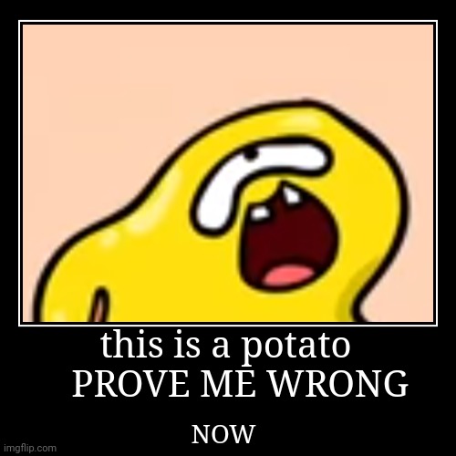 this is a potato
   PROVE ME WRONG | NOW | image tagged in funny,demotivationals | made w/ Imgflip demotivational maker