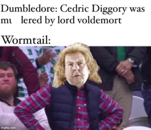wormed | image tagged in potterhead,harry potter | made w/ Imgflip meme maker