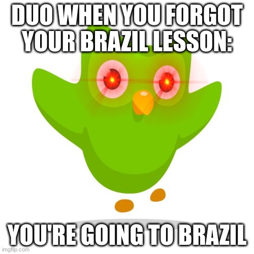things duolingo teaches you | DUO WHEN YOU FORGOT YOUR BRAZIL LESSON:; YOU'RE GOING TO BRAZIL | image tagged in things duolingo teaches you,duolingo,duolingo bird,you're going to brazil,brazil | made w/ Imgflip meme maker