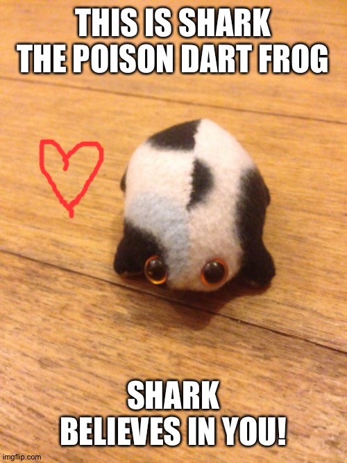 I love shark | THIS IS SHARK THE POISON DART FROG; SHARK BELIEVES IN YOU! | made w/ Imgflip meme maker