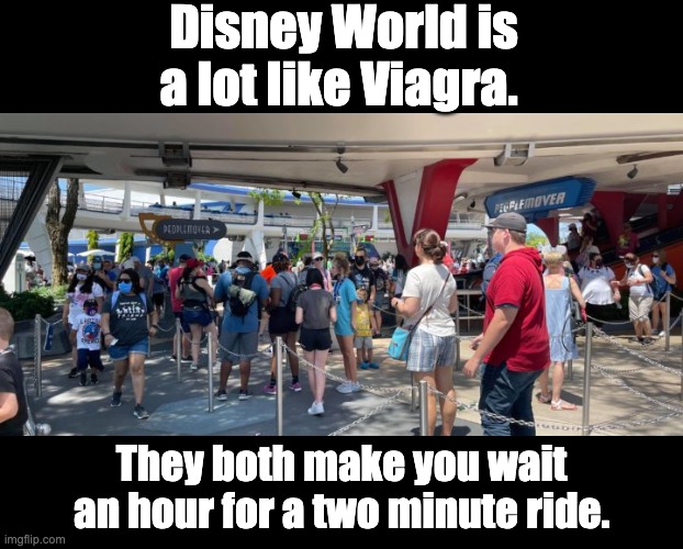 Disney | Disney World is a lot like Viagra. They both make you wait an hour for a two minute ride. | image tagged in disney | made w/ Imgflip meme maker