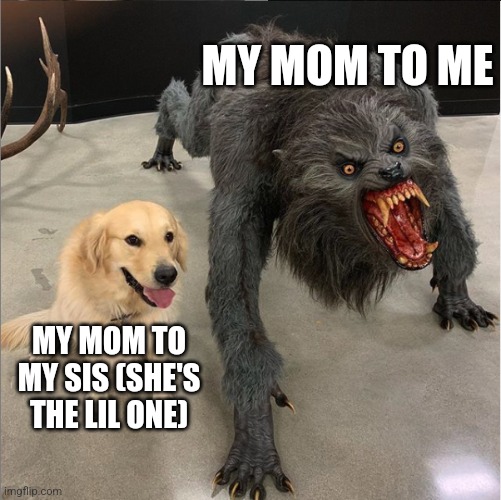 If I hear another she's ur responsibility ? | MY MOM TO ME; MY MOM TO MY SIS (SHE'S THE LIL ONE) | image tagged in dog vs werewolf,lil sis | made w/ Imgflip meme maker