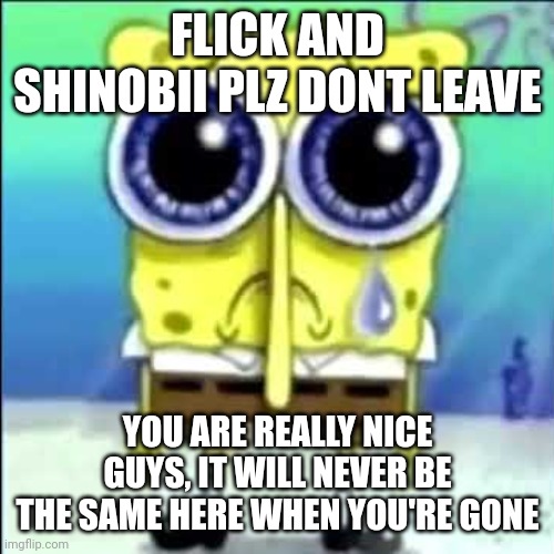 i barely got to know you two but you are nice af | FLICK AND SHINOBII PLZ DONT LEAVE; YOU ARE REALLY NICE GUYS, IT WILL NEVER BE THE SAME HERE WHEN YOU'RE GONE | image tagged in sad spongebob | made w/ Imgflip meme maker