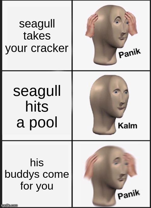 seagull | seagull takes your cracker; seagull hits a pool; his buddys come for you | image tagged in memes,panik kalm panik | made w/ Imgflip meme maker