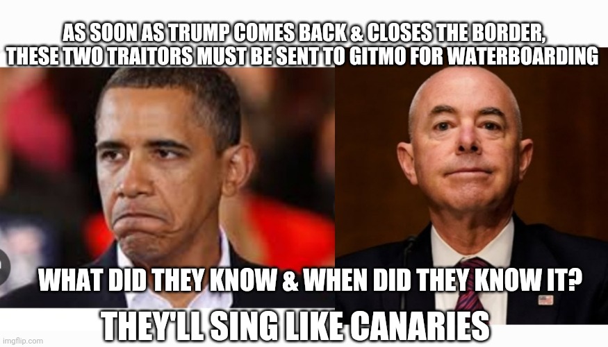 Held Responsible For Illegal Alien Invasion Of America | AS SOON AS TRUMP COMES BACK & CLOSES THE BORDER, THESE TWO TRAITORS MUST BE SENT TO GITMO FOR WATERBOARDING; WHAT DID THEY KNOW & WHEN DID THEY KNOW IT? THEY'LL SING LIKE CANARIES | image tagged in punishment,libtard,criminals,stop,illegal immigration,secure the border | made w/ Imgflip meme maker