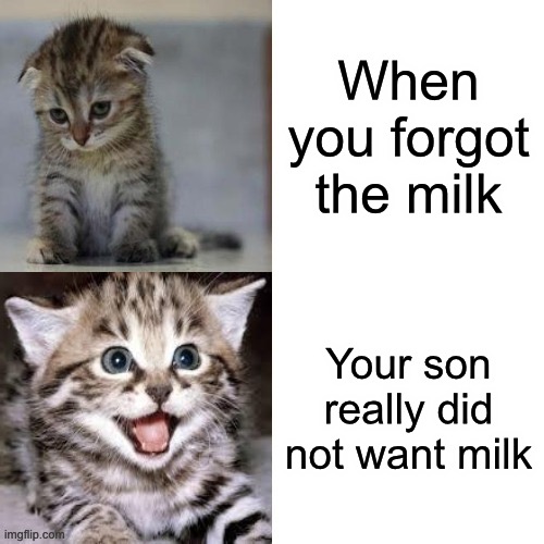 Sad Cat to Happy Cat | When you forgot the milk; Your son really did not want milk | image tagged in sad cat to happy cat | made w/ Imgflip meme maker