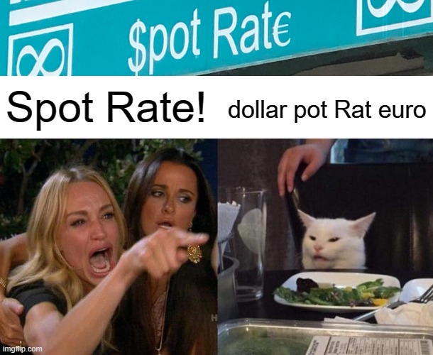 .... | Spot Rate! dollar pot Rat euro | image tagged in memes,woman yelling at cat | made w/ Imgflip meme maker