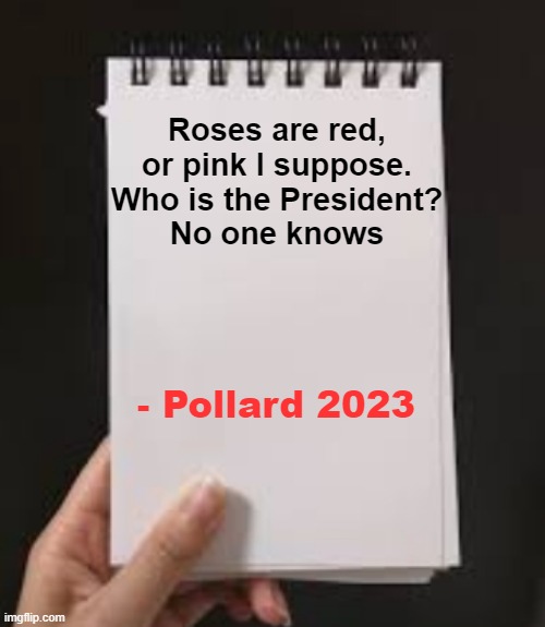 I've been Pollard thank you goodnight | Roses are red,
or pink I suppose.
Who is the President?
No one knows; - Pollard 2023 | image tagged in notebook haiku,memes,unfunny | made w/ Imgflip meme maker