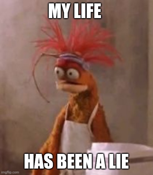 My life has been a lie | MY LIFE; HAS BEEN A LIE | image tagged in disturbed muppet | made w/ Imgflip meme maker