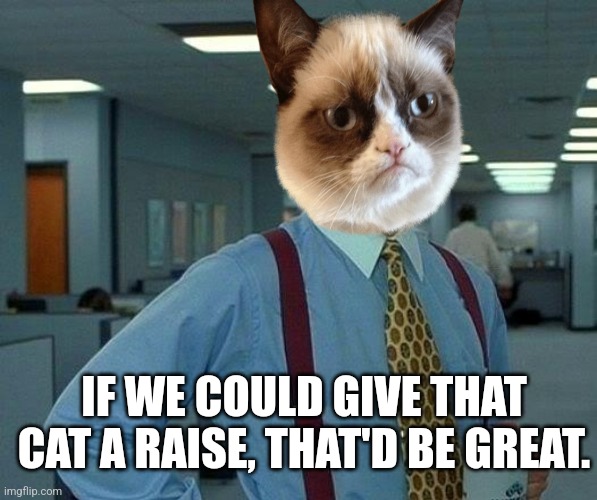 IF WE COULD GIVE THAT CAT A RAISE, THAT'D BE GREAT. | made w/ Imgflip meme maker