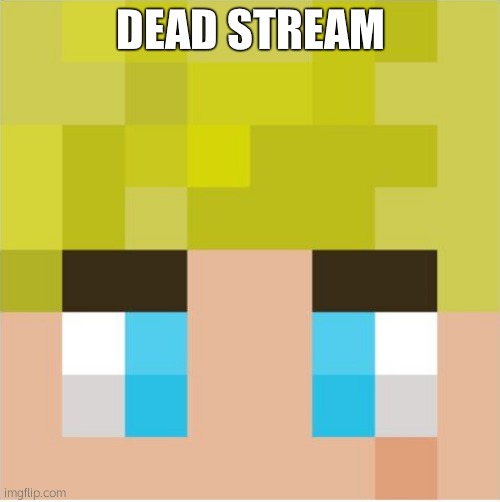 tommyinit | DEAD STREAM | image tagged in tommyinit | made w/ Imgflip meme maker