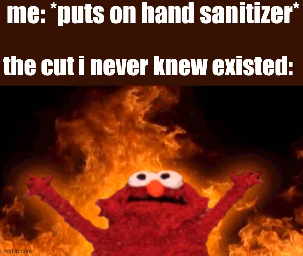 elmo fire | me: *puts on hand sanitizer*; the cut i never knew existed: | image tagged in elmo fire | made w/ Imgflip meme maker