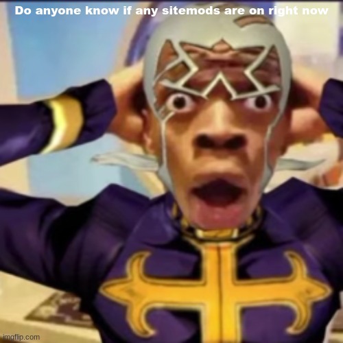 Pucci in shock | Do anyone know if any sitemods are on right now | image tagged in pucci in shock | made w/ Imgflip meme maker