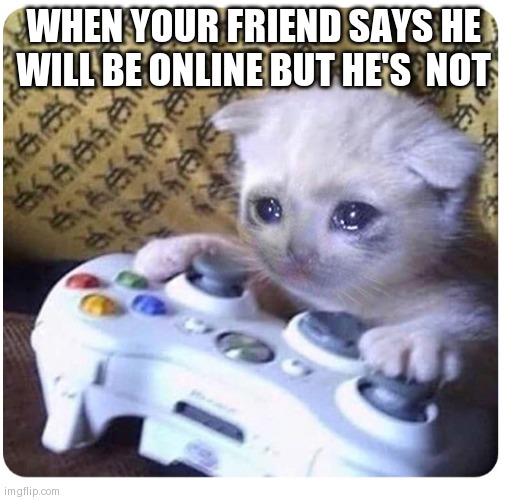 Sad cat Xbox | WHEN YOUR FRIEND SAYS HE WILL BE ONLINE BUT HE'S  NOT | image tagged in sad cat xbox | made w/ Imgflip meme maker