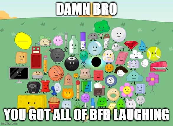 Damn bro you got all of BFB laughing | DAMN BRO YOU GOT ALL OF BFB LAUGHING | image tagged in damn bro you got all of bfb laughing | made w/ Imgflip meme maker