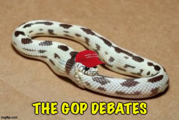 The GOP eating itself | THE GOP DEBATES | image tagged in gop snake | made w/ Imgflip meme maker