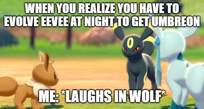 Eevee, Umbreon, and Glaceon | WHEN YOU REALIZE YOU HAVE TO EVOLVE EEVEE AT NIGHT TO GET UMBREON ME: *LAUGHS IN WOLF* | image tagged in eevee umbreon and glaceon | made w/ Imgflip meme maker