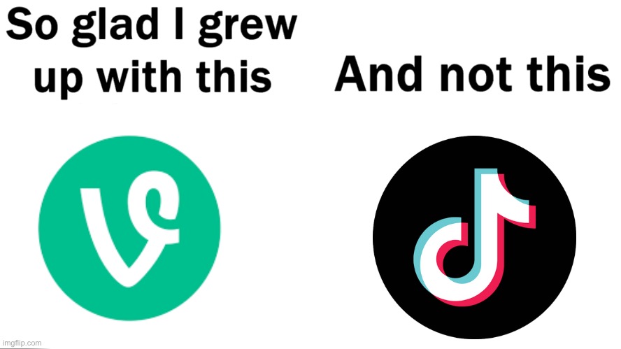 Who else remembers vine | image tagged in so glad i grew up with this | made w/ Imgflip meme maker