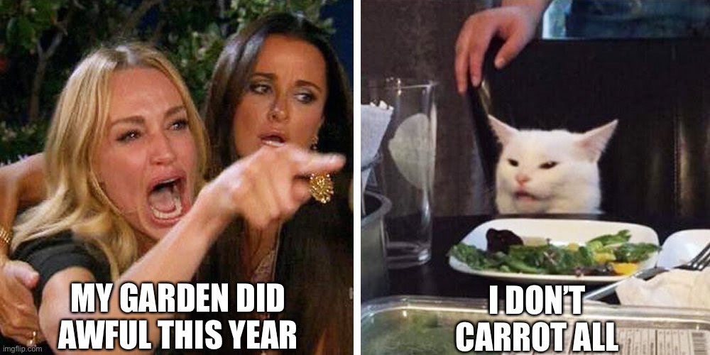 Garden | MY GARDEN DID AWFUL THIS YEAR; I DON’T CARROT ALL | image tagged in smudge the cat | made w/ Imgflip meme maker
