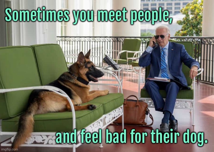 Bidens dog | Sometimes you meet people, and feel bad for their dog. | image tagged in joes dog,you meet people,feel sorry,for the dog,biden,politics | made w/ Imgflip meme maker