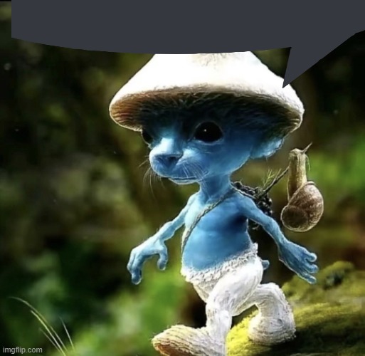 blue smurf cat discord | image tagged in blue smurf cat | made w/ Imgflip meme maker