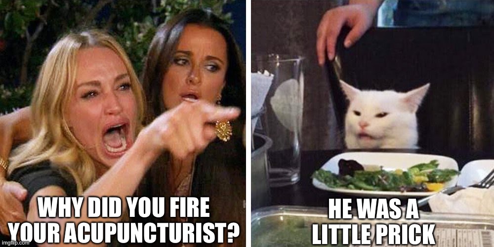 Acupuncture | WHY DID YOU FIRE YOUR ACUPUNCTURIST? HE WAS A LITTLE PRICK | image tagged in smudge the cat | made w/ Imgflip meme maker