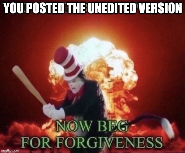 Me when ever someone anti-upvote begger | YOU POSTED THE UNEDITED VERSION | image tagged in beg for forgiveness | made w/ Imgflip meme maker