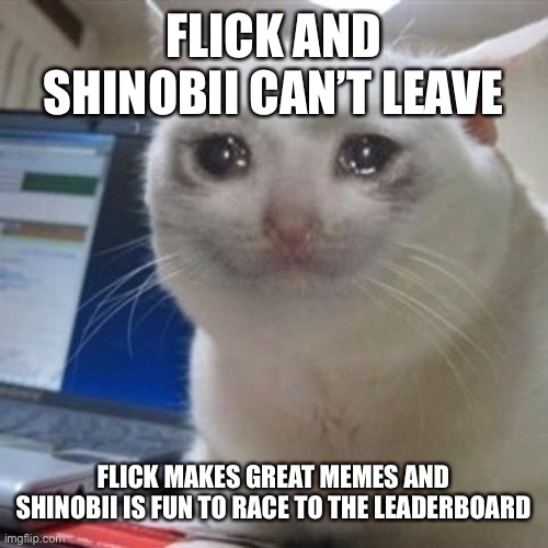 :( | FLICK AND SHINOBII CAN’T LEAVE; FLICK MAKES GREAT MEMES AND SHINOBII IS FUN TO RACE TO THE LEADERBOARD | image tagged in crying cat,flick7,shinobii | made w/ Imgflip meme maker