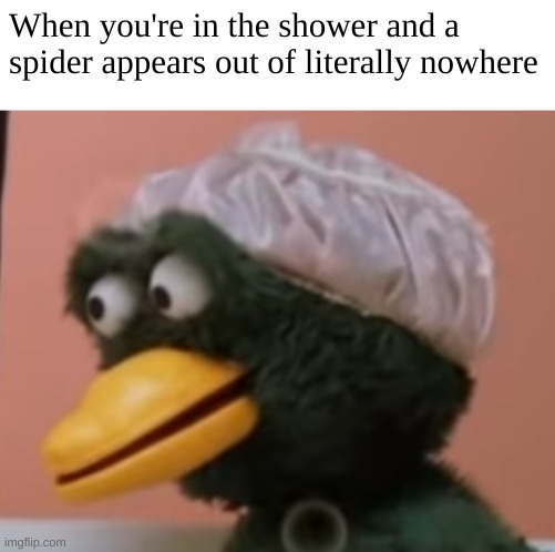 It's more common for me to see earwigs | When you're in the shower and a spider appears out of literally nowhere | image tagged in concerned duck | made w/ Imgflip meme maker