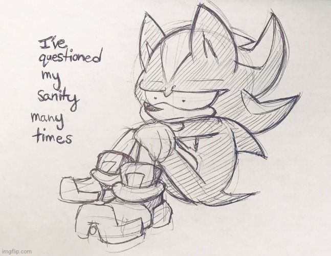 shadow ive questioned my sanity many times | image tagged in shadow ive questioned my sanity many times | made w/ Imgflip meme maker