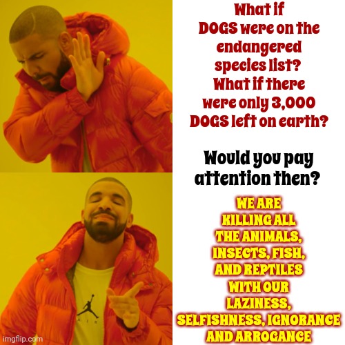 Imagine Humans On The Endangered Species List | What if DOGS were on the endangered species list?  What if there were only 3,000 DOGS left on earth? WE ARE KILLING ALL THE ANIMALS, INSECTS, FISH, AND REPTILES WITH OUR LAZINESS, SELFISHNESS, IGNORANCE AND ARROGANCE; Would you pay attention then? | image tagged in memes,drake hotline bling,endangered species list,human destruction,human selfishness,oh the humanity | made w/ Imgflip meme maker