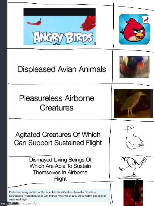 image tagged in angry birds | made w/ Imgflip meme maker