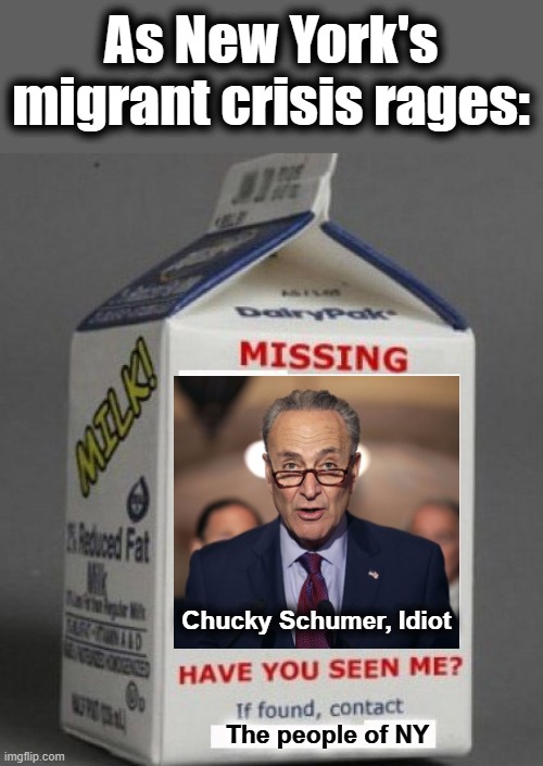 Chucky Schumer, AWOL during New York's disastrous migrant crisis | As New York's
migrant crisis rages:; Chucky Schumer, Idiot; The people of NY | image tagged in milk carton,chuck schumer,democrats,migrants,crisis,new york | made w/ Imgflip meme maker