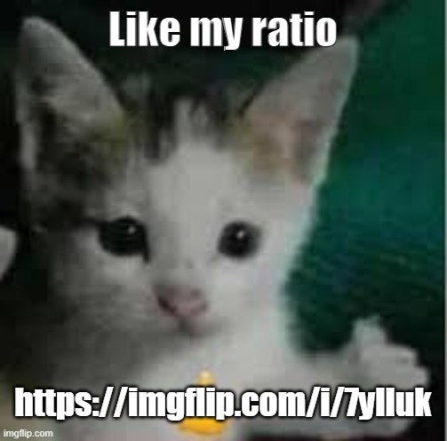 https://imgflip.com/i/7ylluk | Like my ratio; https://imgflip.com/i/7ylluk | image tagged in very cool bro | made w/ Imgflip meme maker