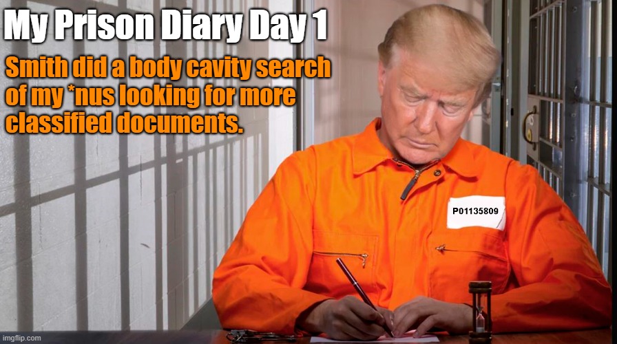 My Prison Diary Day 1; Smith did a body cavity search
of my *nus looking for more
classified documents. | image tagged in donald trump,prison,diary | made w/ Imgflip meme maker