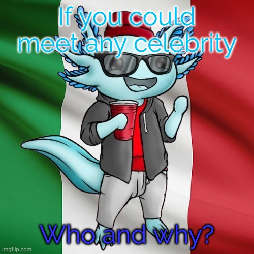 It can be a singer, a YouTuber, even a chef! | If you could meet any celebrity; Who and why? | made w/ Imgflip meme maker