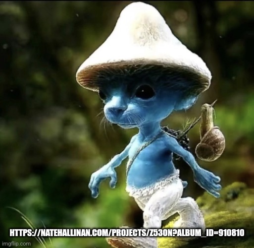 Blue Smurf cat | HTTPS://NATEHALLINAN.COM/PROJECTS/Z53ON?ALBUM_ID=910810 | image tagged in blue smurf cat | made w/ Imgflip meme maker