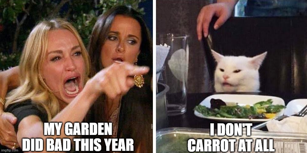 Smudge the cat | MY GARDEN DID BAD THIS YEAR; I DON'T CARROT AT ALL | image tagged in smudge the cat | made w/ Imgflip meme maker