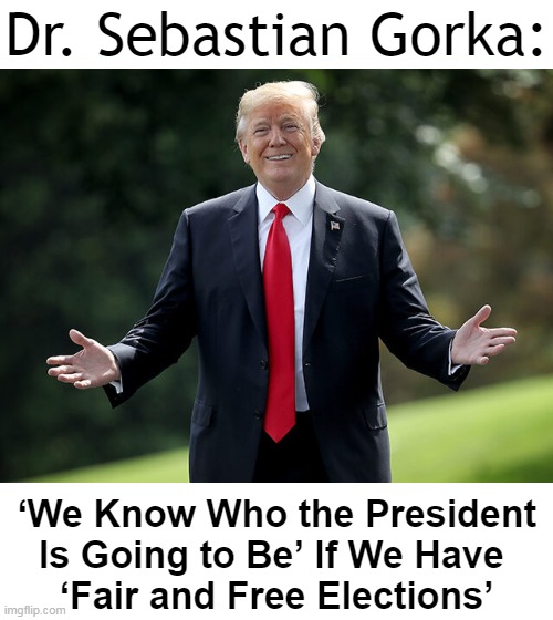 Make America Great Again | Dr. Sebastian Gorka:; ‘We Know Who the President 
Is Going to Be’ If We Have 
‘Fair and Free Elections’ | image tagged in politics,donald trump,fair and free elections,america first,not america last,donald trump approves | made w/ Imgflip meme maker