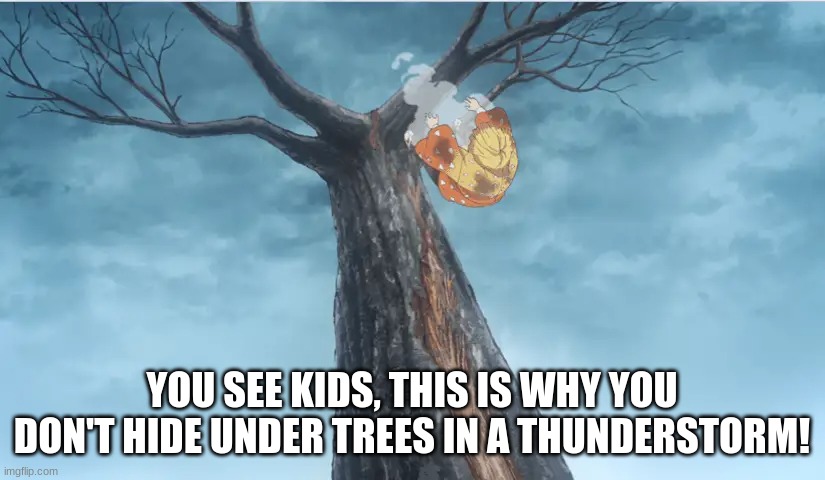 why you don't hide under trees in a thunderstorm | YOU SEE KIDS, THIS IS WHY YOU DON'T HIDE UNDER TREES IN A THUNDERSTORM! | image tagged in zenitsu,science,lightning,why you don't hide under trees in a thunderstorm,demon slayer,thunderstorm | made w/ Imgflip meme maker