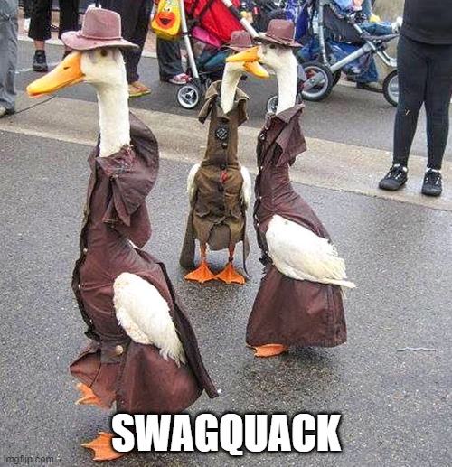 Swag | SWAGQUACK | image tagged in funny duck | made w/ Imgflip meme maker