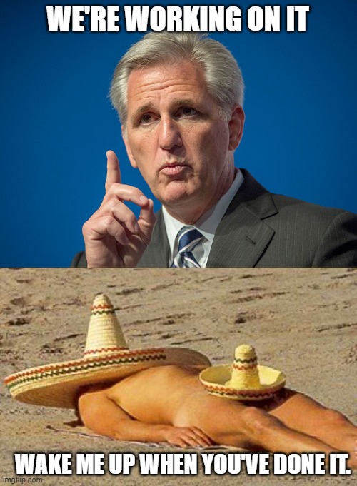 WE'RE WORKING ON IT WAKE ME UP WHEN YOU'VE DONE IT. | image tagged in kevin mccarthy | made w/ Imgflip meme maker