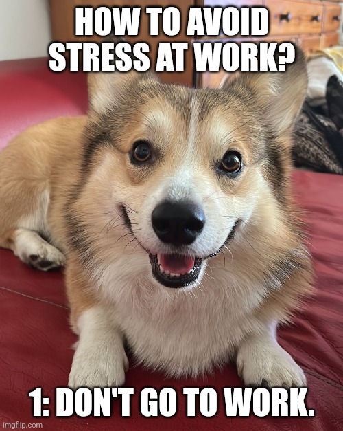 HOW TO AVOID STRESS AT WORK? 1: DON'T GO TO WORK. | made w/ Imgflip meme maker