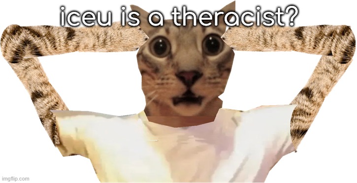 cat shocked | iceu is a theracist? | image tagged in cat shocked | made w/ Imgflip meme maker